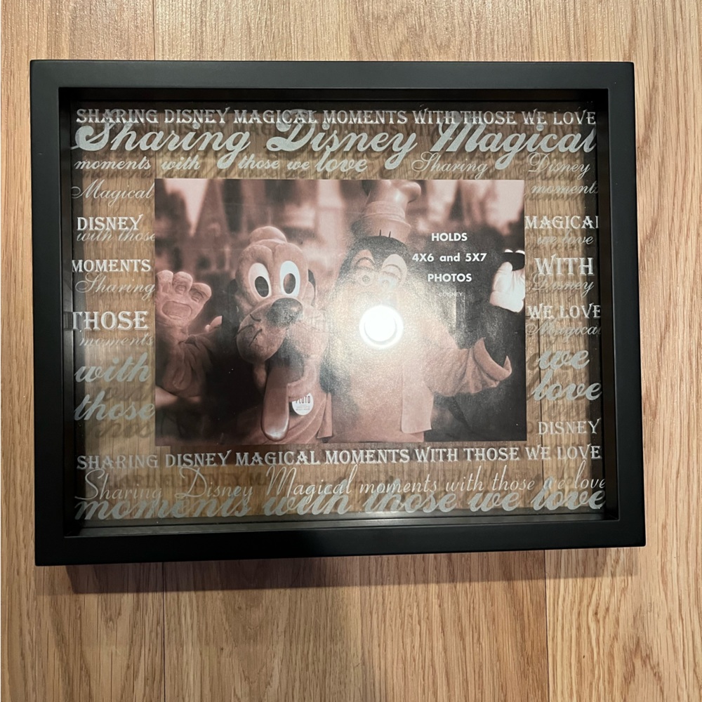 Disney world picture frame